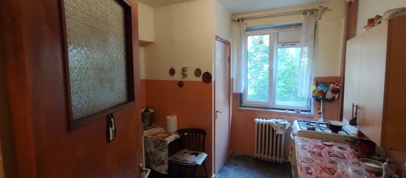 Camil Ressuc Langa parc IOR,