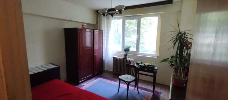 Camil Ressuc Langa parc IOR,