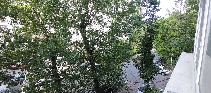 Camil Ressuc Langa parc IOR,